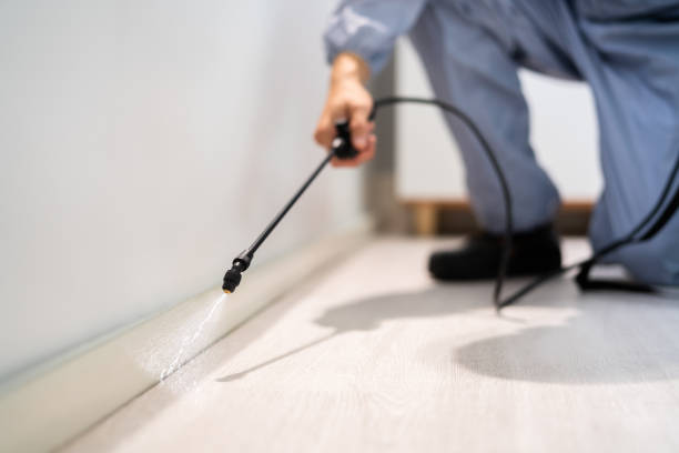 Licensed Cockroach Control service in Picayune, MS - Nex Pest Control