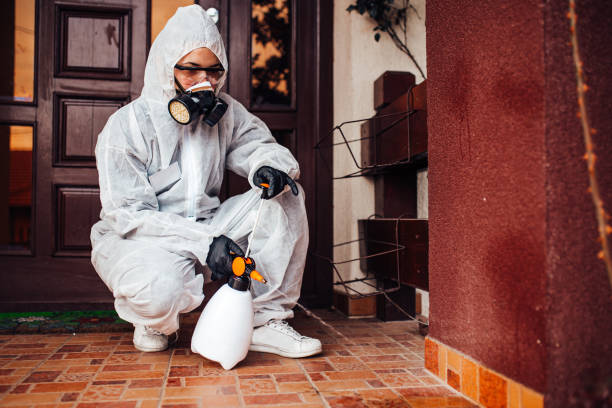 Reliable Cockroach Control contractor in Picayune, MS by Nex Pest Control